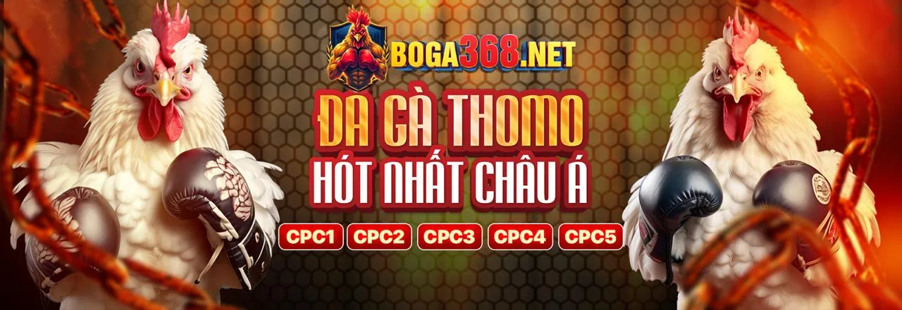 Sản phẩm giải trí Soigiabet đa dạng